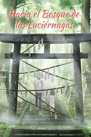 En el bosque de la luz de las luciérnagas