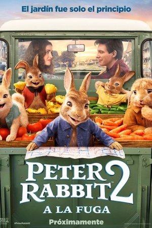 Peter Rabbit 2: A la fuga