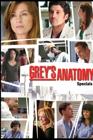Anatomía de Grey temporada 0