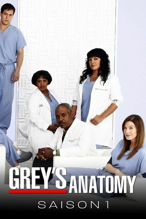 Anatomía de Grey temporada 1