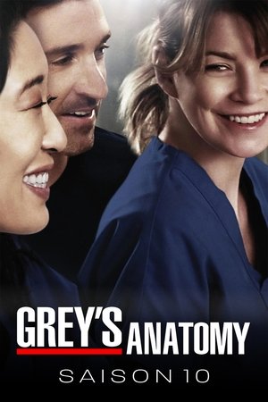 Anatomía de Grey temporada 10
