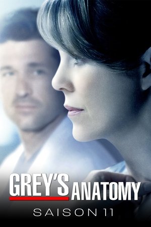 Anatomía de Grey temporada 11