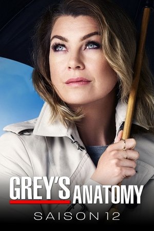 Anatomía de Grey temporada 12