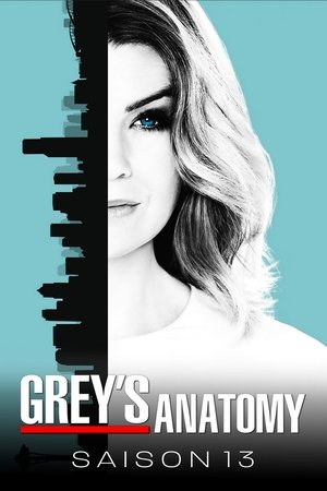 Anatomía de Grey temporada 13