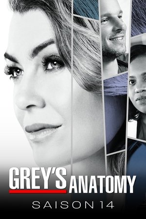 Anatomía de Grey temporada 14