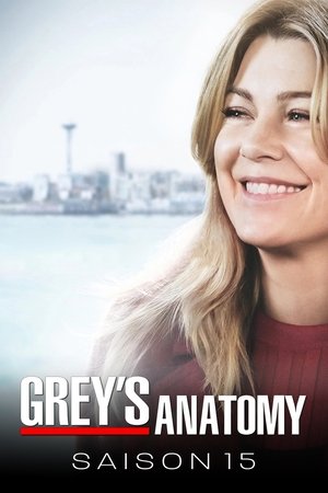 Anatomía de Grey temporada 15