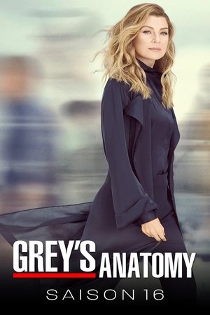 Anatomía de Grey temporada 16