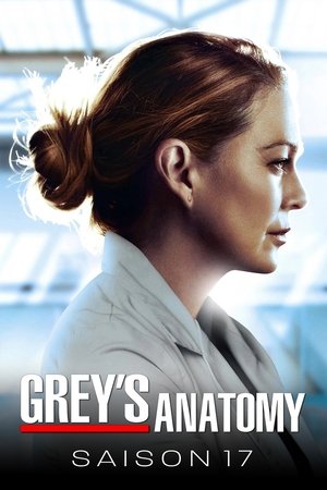 Anatomía de Grey temporada 17