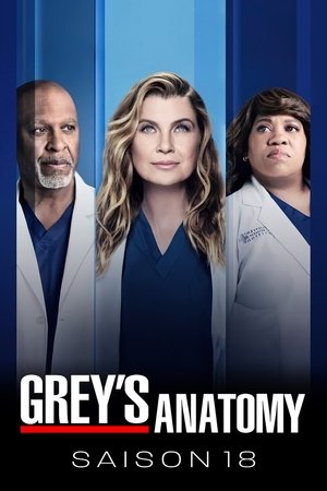 Anatomía de Grey temporada 18