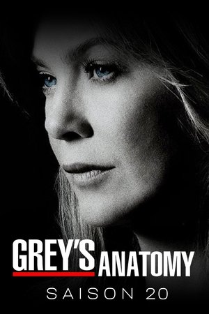 Anatomía de Grey temporada 20