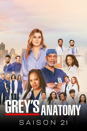 Anatomía de Grey temporada 21
