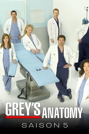Anatomía de Grey temporada 5