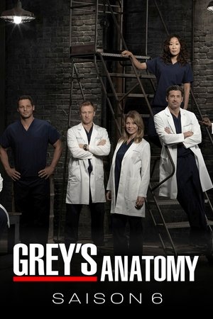 Anatomía de Grey temporada 6