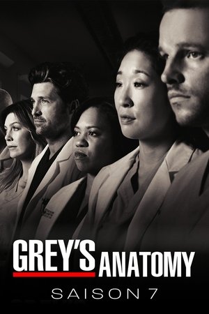 Anatomía de Grey temporada 7