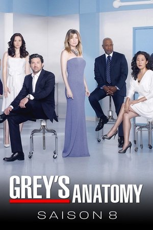 Anatomía de Grey temporada 8