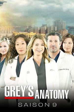 Anatomía de Grey temporada 9