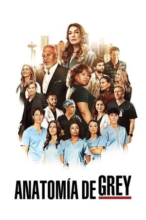 Ver Anatomía de Grey en Streaming