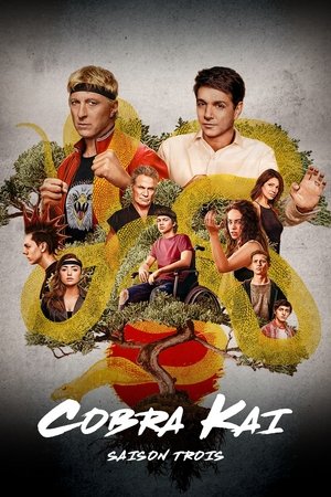 Cobra Kai temporada 3