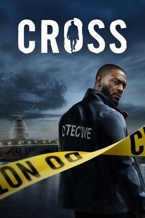 Cross temporada 1