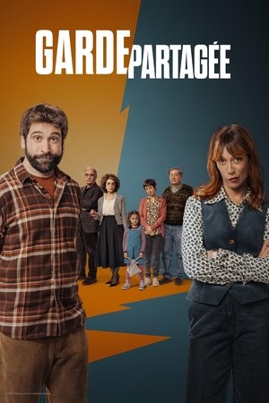 Custodia repartida temporada 1