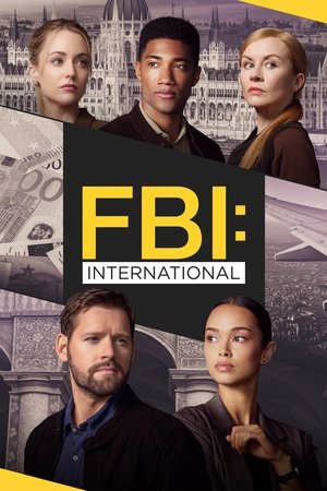 FBI: Internacional temporada 3