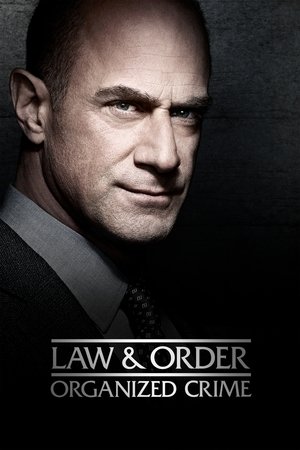 Ley y orden: Crimen organizado temporada 1