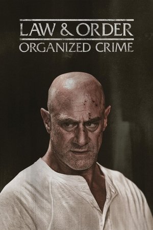 Ley y orden: Crimen organizado temporada 5