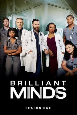 Mentes brillantes temporada 1