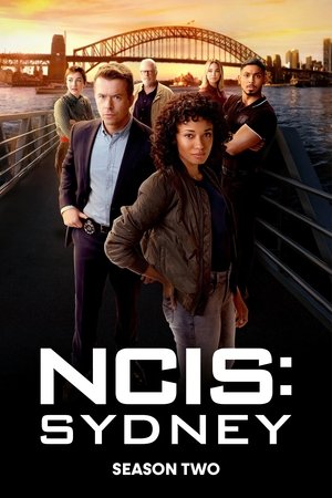 NCIS: Sydney temporada 2