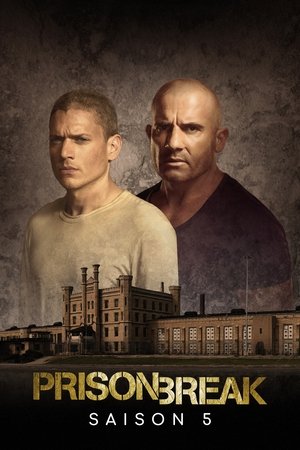 Prison Break temporada 5
