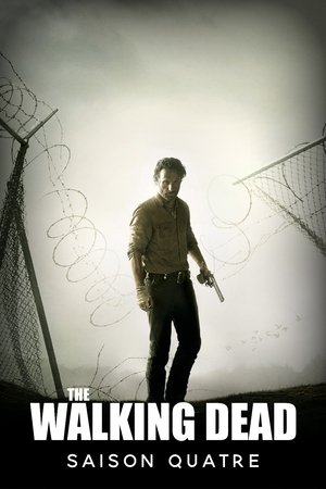The Walking Dead temporada 4